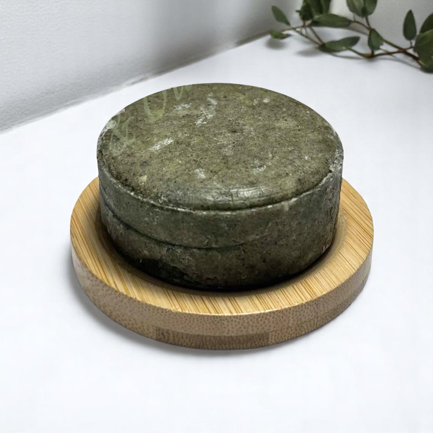 Renew Shampoo Bar - Anti~Dandruff