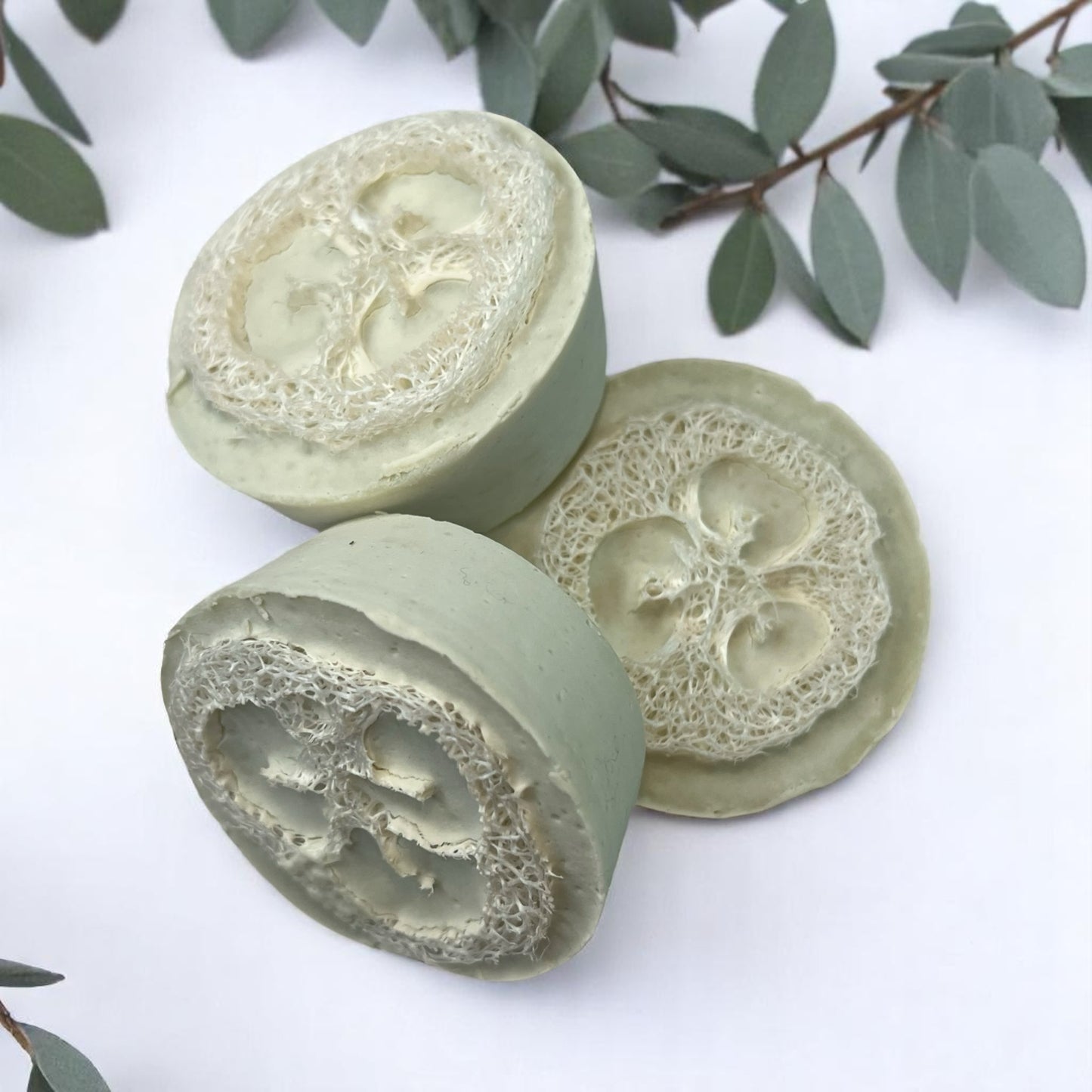 Renew Loofah - Aloe Vera Soap